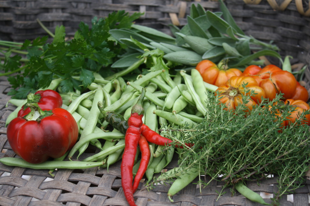 Tomatoes, Peppers, and Green Beans