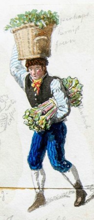 Vegetable seller, London, early 19th century, George Scharf, ©The Trustees of the British Museum.