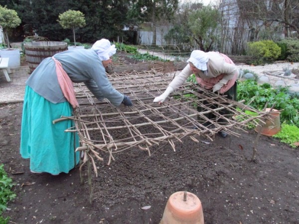 Constructing the bean table