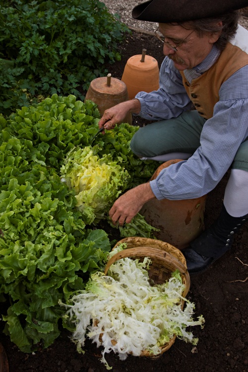 garden2