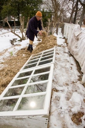 Covering the frames with straw