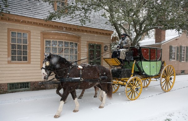 horse in snow