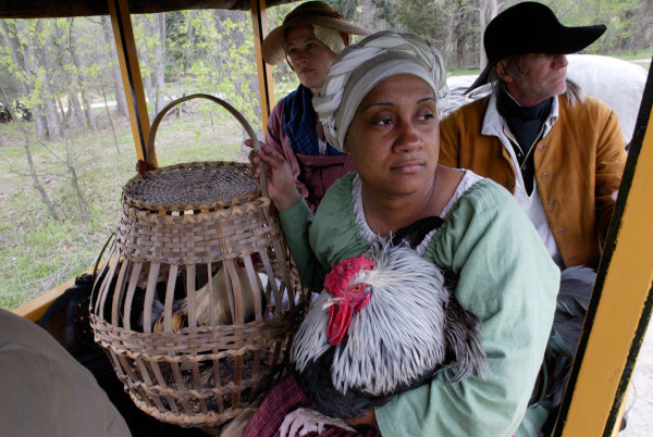 Stage Wagon and passengers at Carter's Grove shot for Animals book