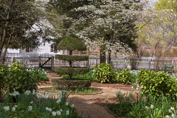 Spring Stock: Garden on the East side of Campbell's Tavern