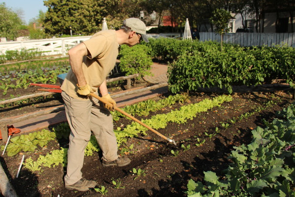 Chef Rhys in Garden