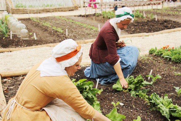 Emily Nelson Jen Mrva picking Spinach