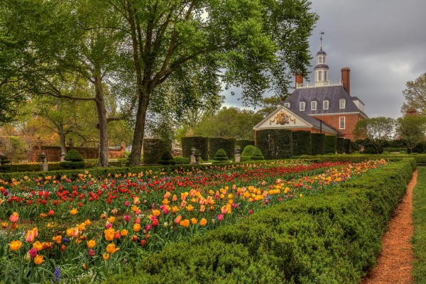 Jerry Gammon Tulips Governor's Palace