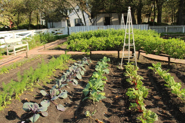 King's Arms Garden Plot