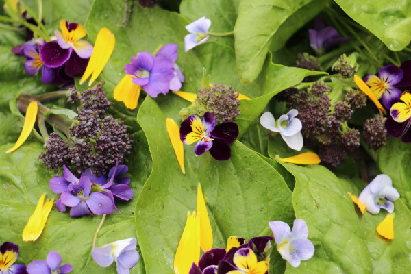 Salad with Edible Flower Petals