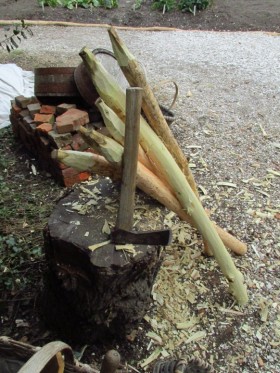 Sharpened Locust poles