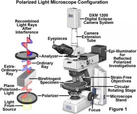 Polarized Light Microscope (PLM)Configuration. To read more about PLM, visit Nikon's Microscopy U page. 