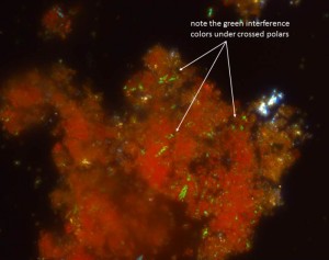 Dispersion of red pigments viewed with transmitted cross polarized light, 1000x.