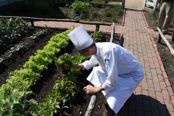 Chef-Rhys-Lewis-Garden-Tour-and-Tasting