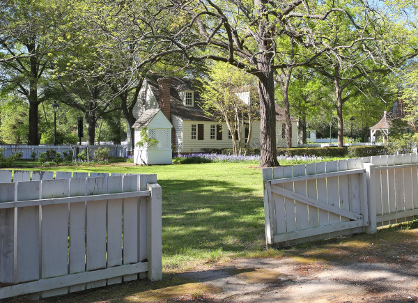 George Jackson Backyard