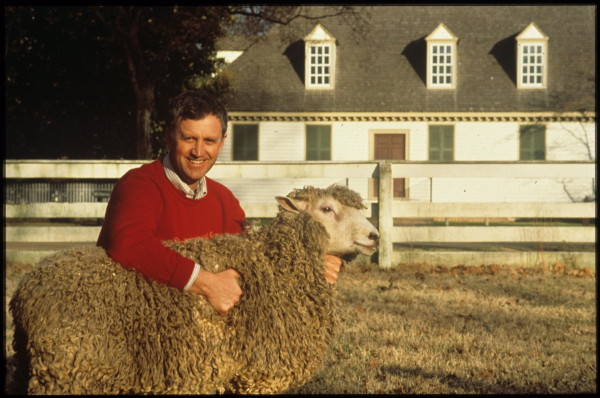 Richard with sheep