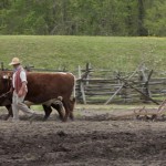 Farming at Great Hopes Plantation