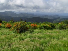 View from Round Bald