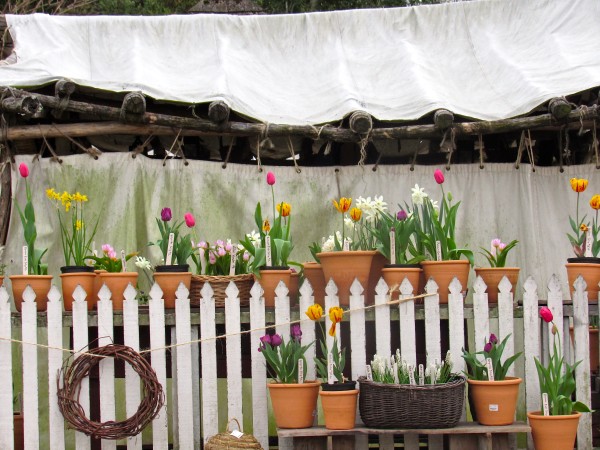 colonial-nursery-white-fence