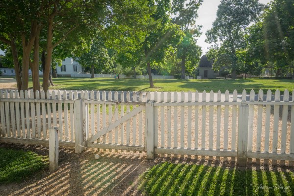 fence-shadows