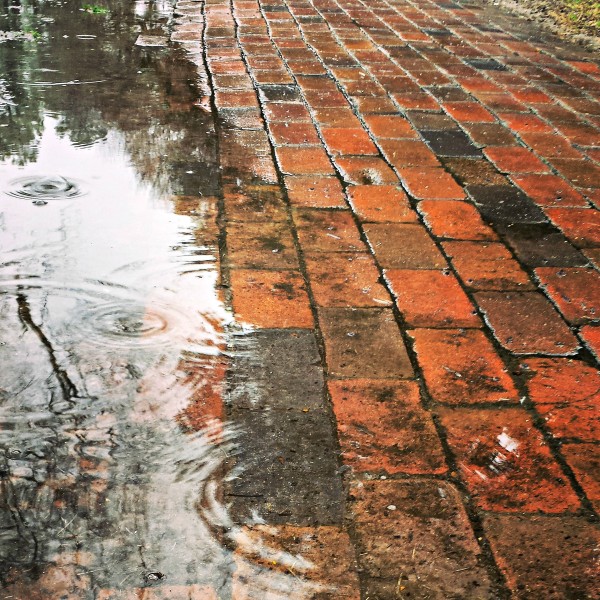 brick sidewalk and puddle