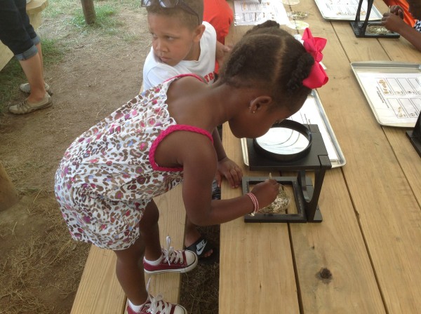 kid-seed-picking