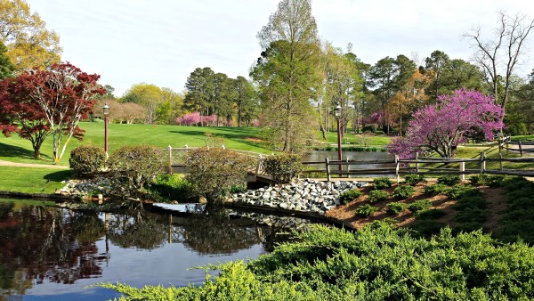 Bridge Near Clubhouse