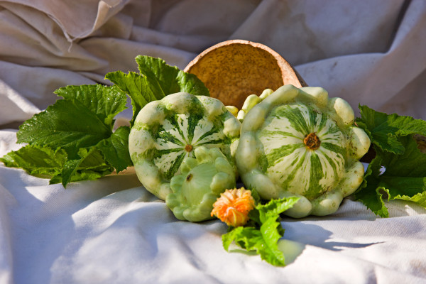  "Vegetable Gardening the Colonial Williamsburg Way"; The Colonial Garden; Jaune et Vert Squash; Yellow and Green Squash