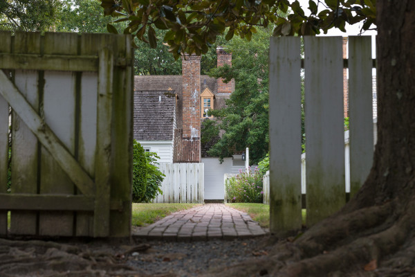 Looking into a backyard from Nicholson St.