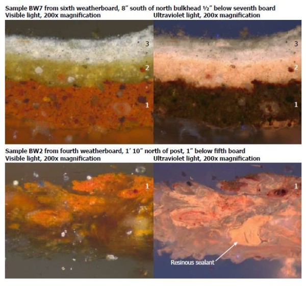 Natasha's report cross-sections