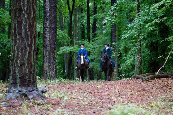 The extensive pine forests of colonial Virginia led to the production of tar and pitch.