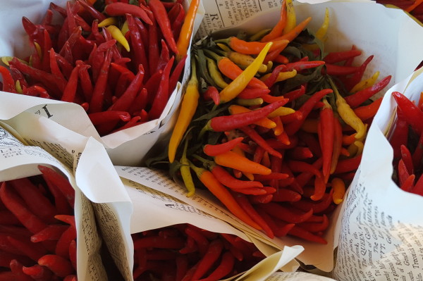 Dried and fresh red peppers for sale at the Market House