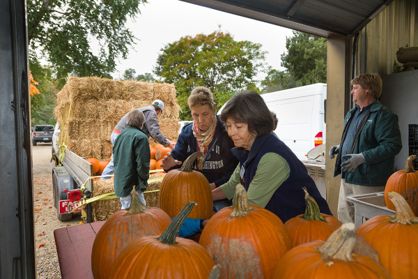 Pumpkin delivery to CW's Landscape facility on Quarterpath Rd. NO MODEL RELEASES