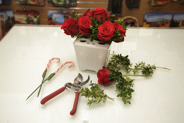 DIY Holiday centerpieces for "Making History" Blog. Shot in Celdebrations store. Christmas.