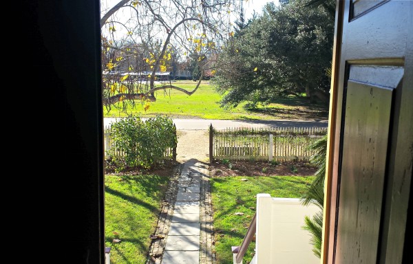 Looking Out of Front Door