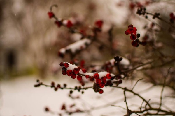 Colonial Williamsburg snowfall by Connie Gardner Jan 2016