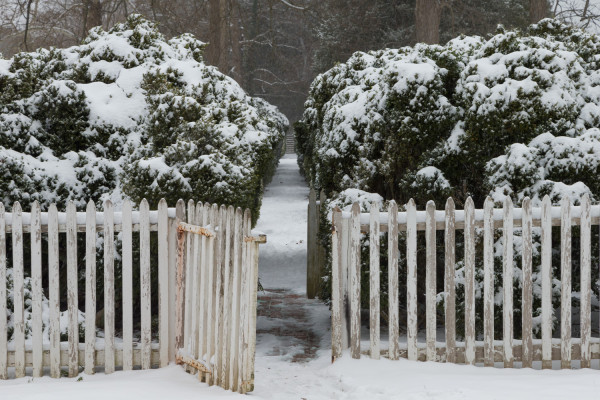 snow st george tucker house