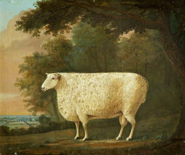 Digby-Curtis, J.; Robert Bakewell's 'Two Pounder'; The Royal Agricultural University Collection; http://www.artuk.org/artworks/robert-bakewells-two-pounder-226137