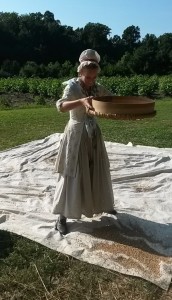 Winnowing wheat at Great Hopes Plantation 2015