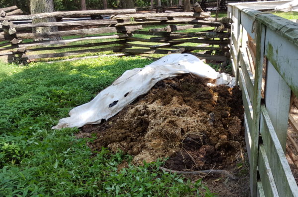 The manure supply for the new egg incubator