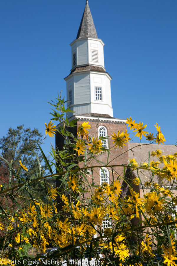 cindy-mcenery-flowers-bruton-parish