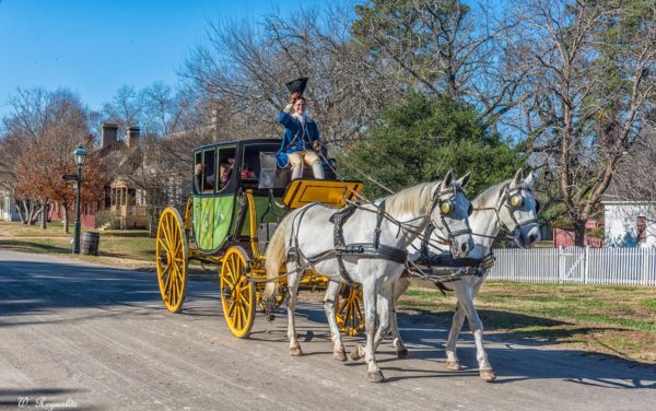 amanda-horse-and-carriage