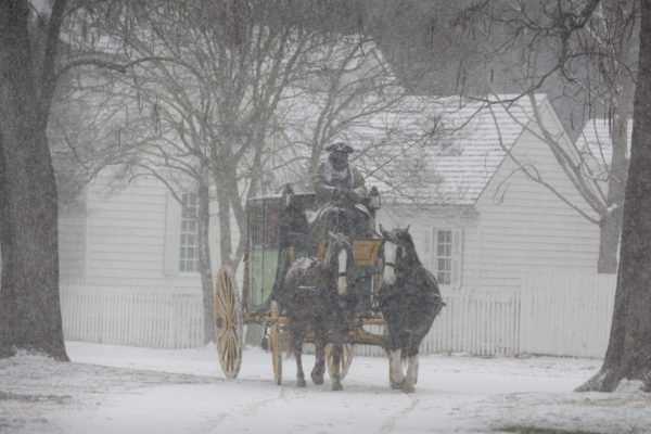 Horse and carriage in winter snow