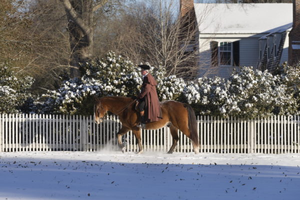 Horse and rider in winter snow