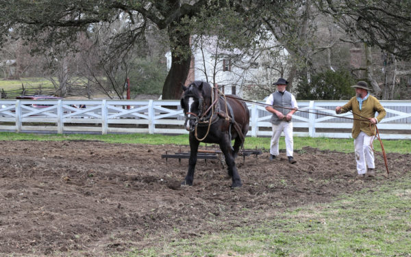 Plowing in Prentis pasture March 2017