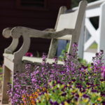 Bench in spring, flowers, peaceful, garden