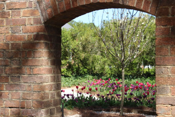 Palace gardens in spring, palace, gardens, spring, peephole